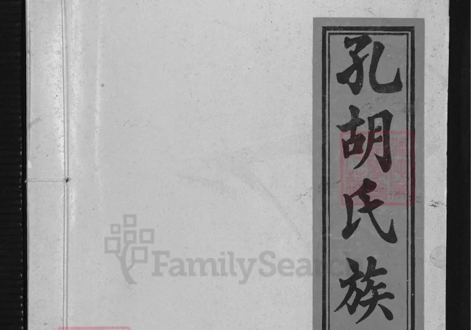江西瑞金孔胡氏族谱-中华家谱网