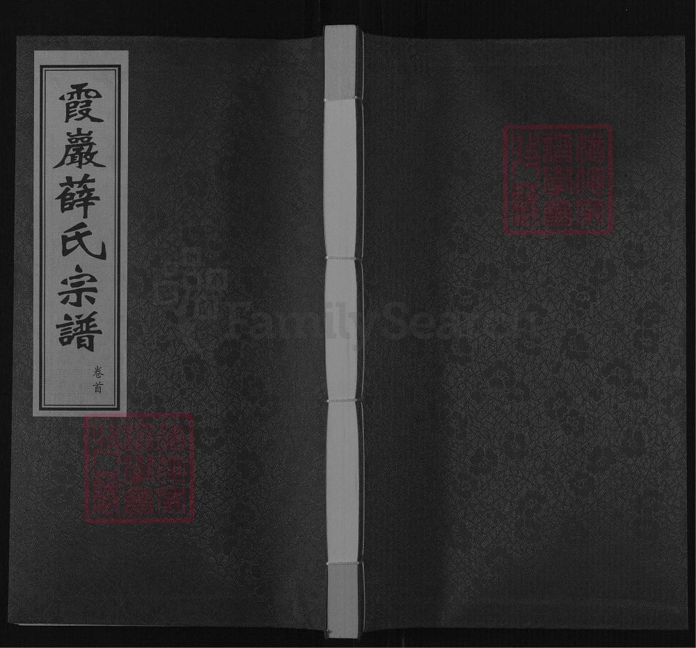 图片[1]-江苏常州霞岩薛氏宗谱（三凤堂）电子版PDF下载-中华家谱网
