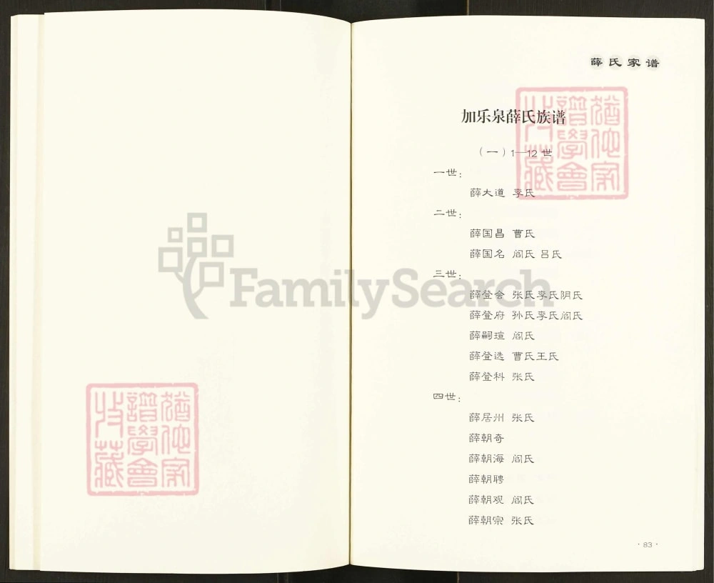 图片[5]-山西吕梁交城古交嘉乐泉西岔薛氏家谱电子版PDF下载-中华家谱网