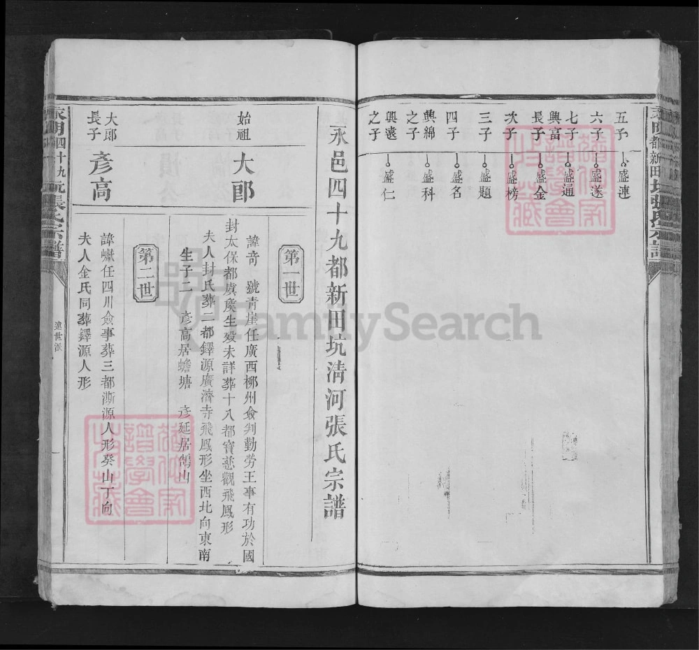 图片[4]-湖南永州江永县永明四十九都新田坑张氏宗谱电子版PDF下载-中华家谱网