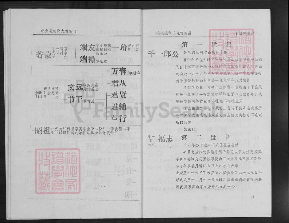 图片[3]-江西瑞金孔胡氏族谱电子版PDF下载-中华家谱网