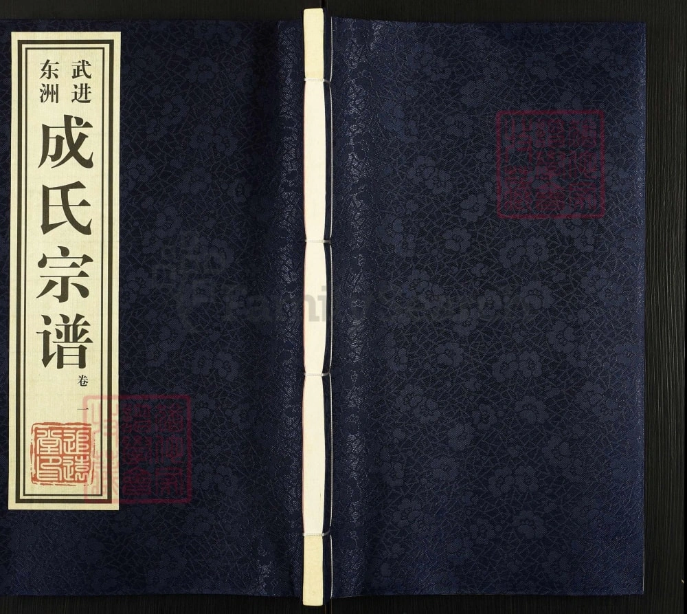 图片[1]-江苏常州武进东洲成氏宗谱（追远堂）电子版PDF下载-中华家谱网