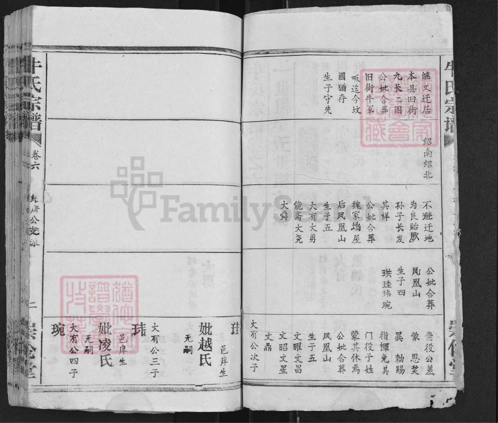 图片[6]-湖北武汉新洲区牛氏宗谱（崇伦堂）电子版PDF下载-中华家谱网
