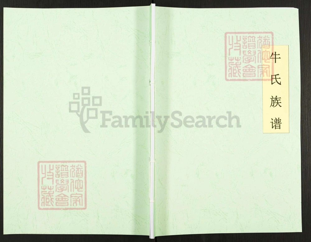河南辉县岭西村牛氏族谱电子版PDF下载-中华家谱网