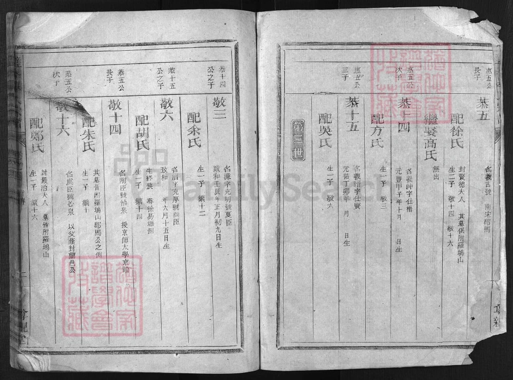 图片[6]-浙江兰溪璧峰河南郡毕氏宗谱（尊亲堂）电子版PDF下载-中华家谱网
