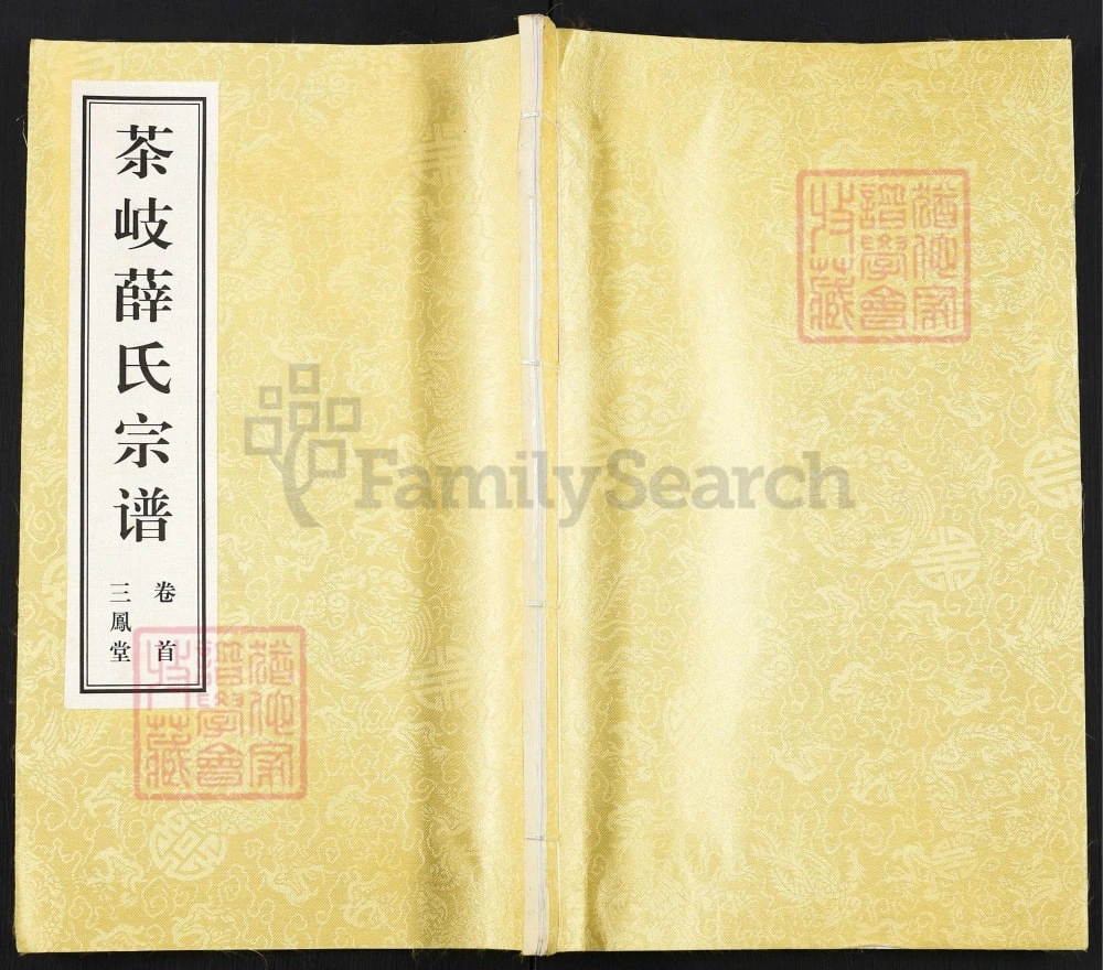 图片[1]-江苏江阴茶岐薛氏宗谱（三凤堂）电子版PDF下载-中华家谱网