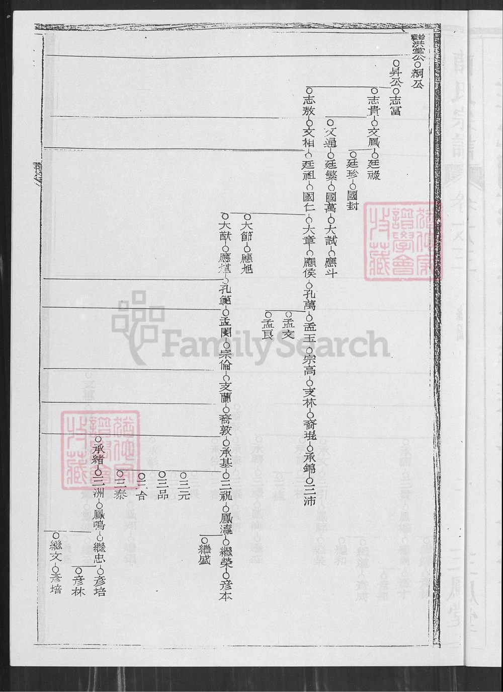 图片[5]-安徽芜湖无为县濡须漕溪薛氏宗谱（三凤堂）电子版PDF下载-中华家谱网