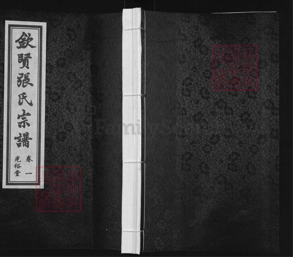 图片[1]-江苏江阴钦贤张氏宗谱伟公支（光裕堂）电子版PDF下载-中华家谱网