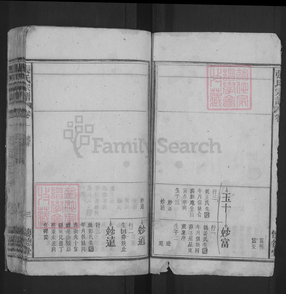 图片[8]-安徽宿松张氏宗谱（怀德堂）电子版PDF下载-中华家谱网