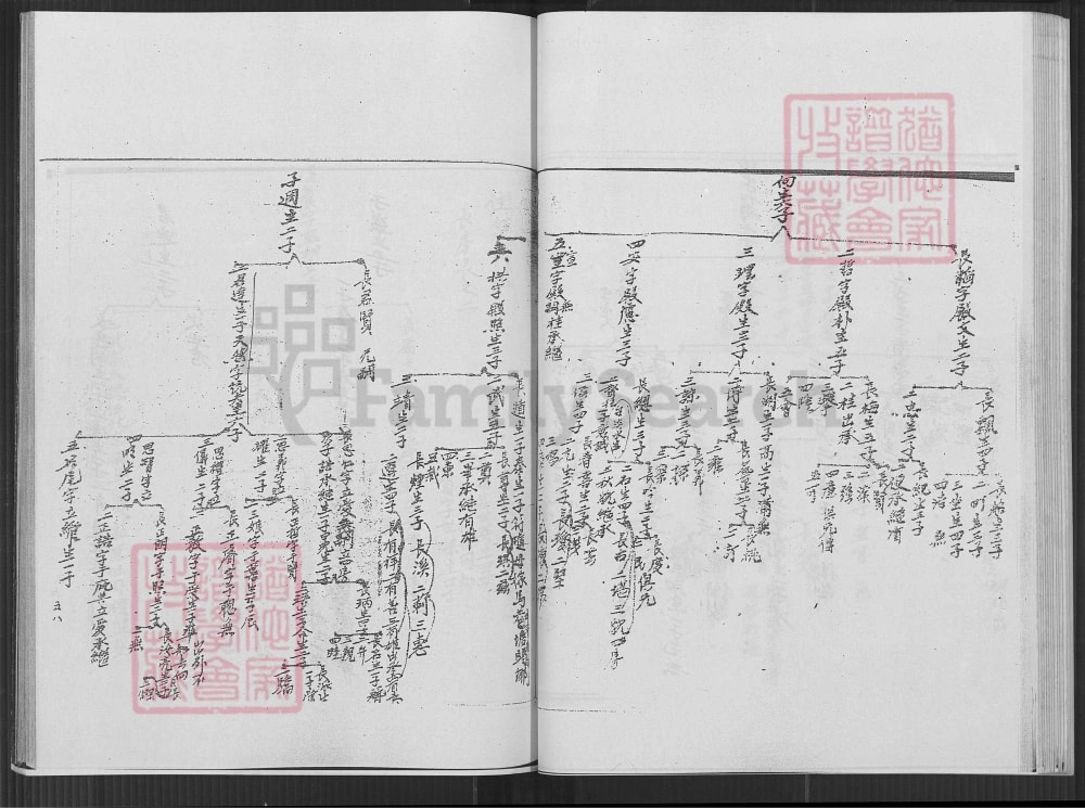 图片[6]-福建厦门同安金门青屿张氏族谱（重恩堂）电子版PDF下载-中华家谱网