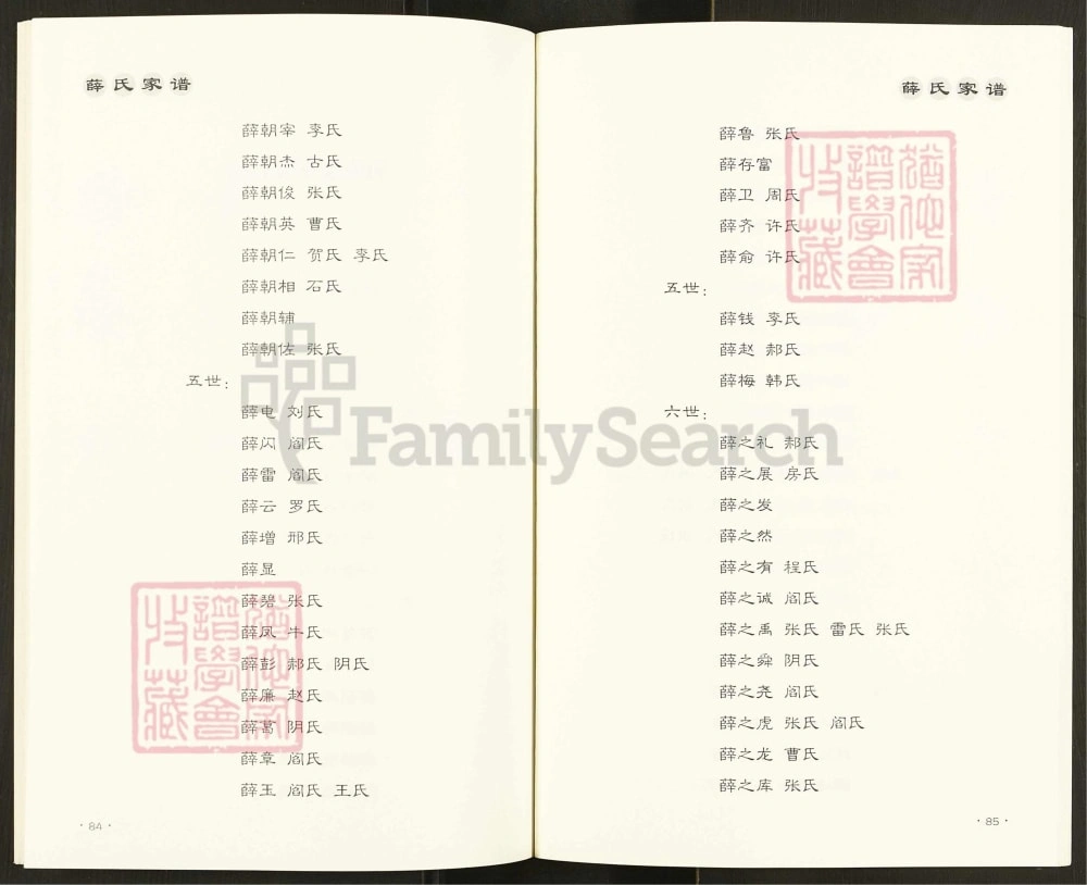 图片[6]-山西吕梁交城古交嘉乐泉西岔薛氏家谱电子版PDF下载-中华家谱网