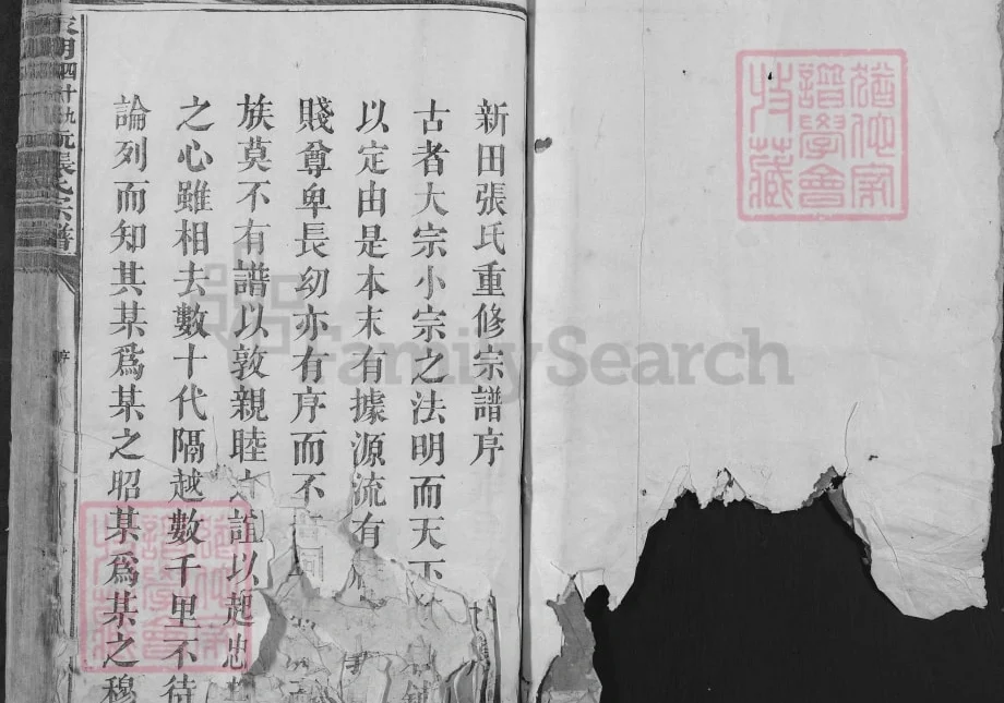 湖南永州江永县永明四十九都新田坑张氏宗谱电子版PDF下载-中华家谱网