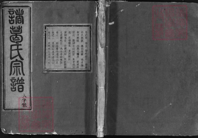 浙江兰溪诸葛氏宗谱-中华家谱网