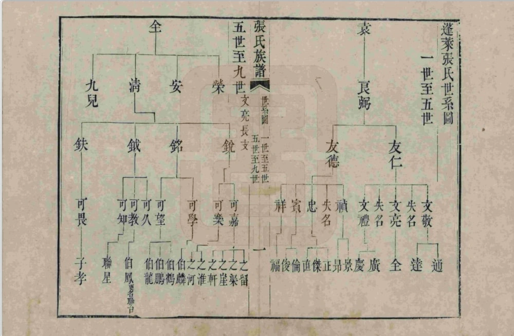 图片[5]-山东烟台蓬莱区张氏族谱电子版PDF下载-中华家谱网