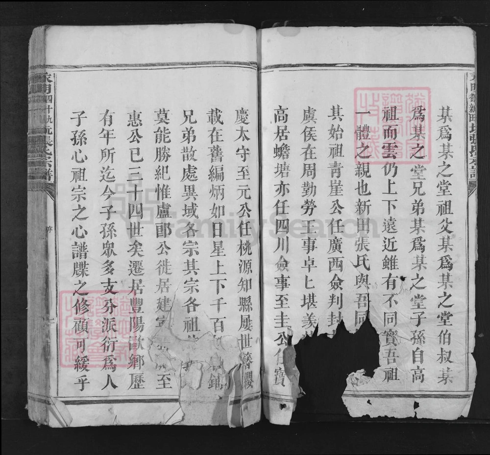 图片[2]-湖南永州江永县永明四十九都新田坑张氏宗谱电子版PDF下载-中华家谱网