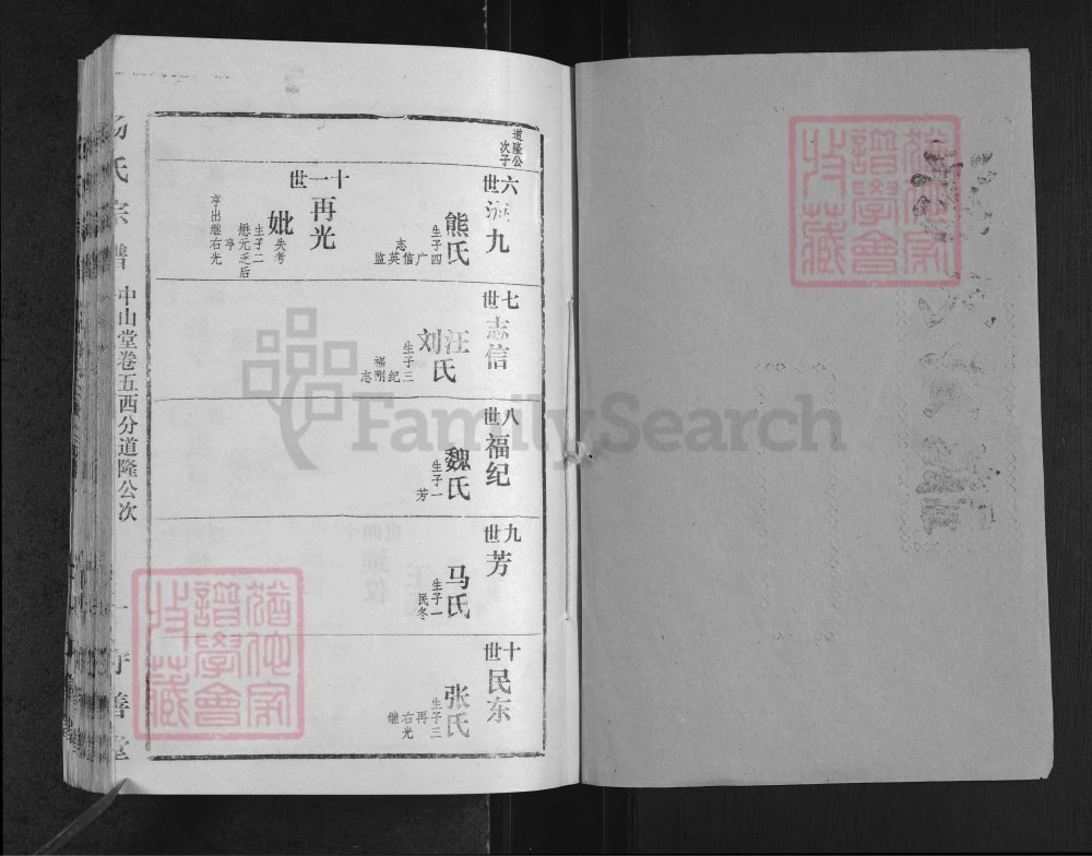 图片[5]-三省七县汤氏联修宗谱电子版PDF下载-中华家谱网