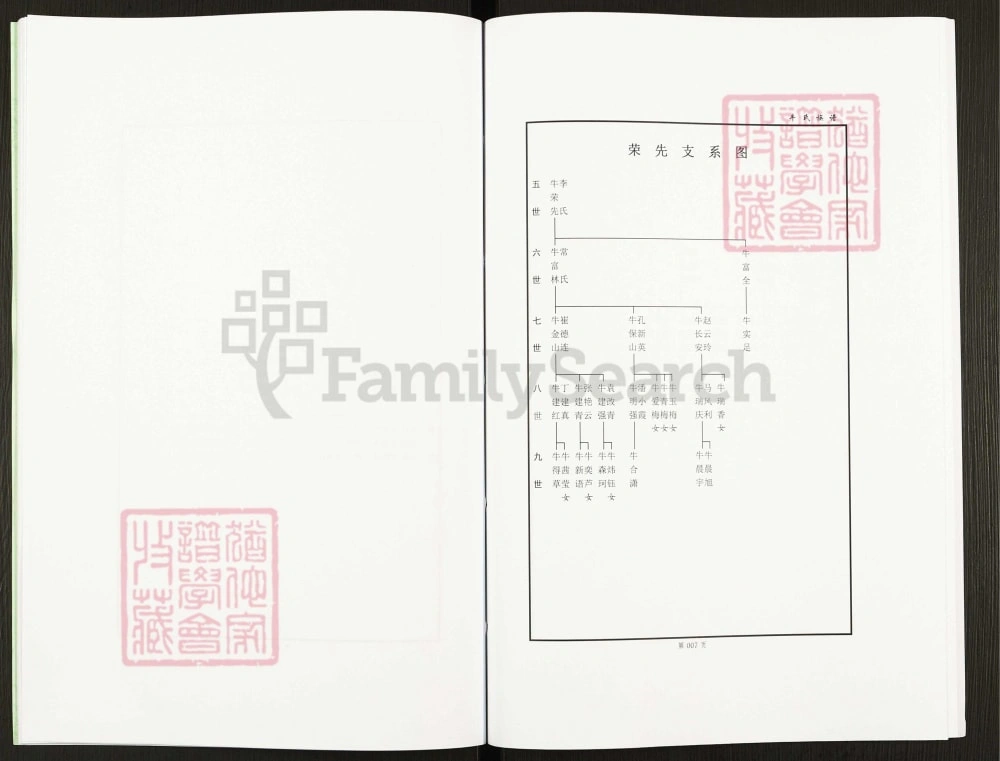 图片[4]-河南辉县岭西村牛氏族谱电子版PDF下载-中华家谱网