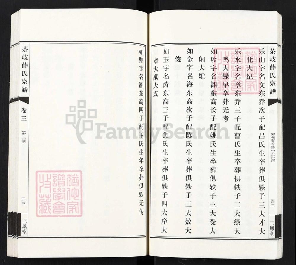 图片[8]-江苏江阴茶岐薛氏宗谱（三凤堂）电子版PDF下载-中华家谱网