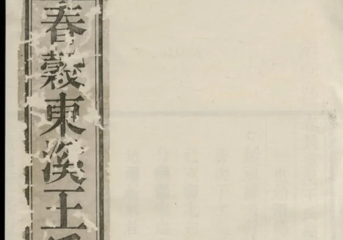 安徽芜湖南陵春穀东溪王氏续修族谱-中华家谱网