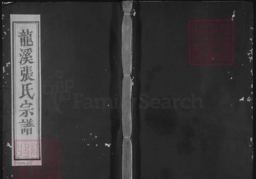 浙江金华浦江县浦阳龙溪张氏八甲宗谱电子版PDF下载-中华家谱网