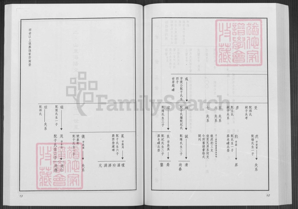 图片[8]-山东海阳文山赵氏系谱电子版PDF下载-中华家谱网