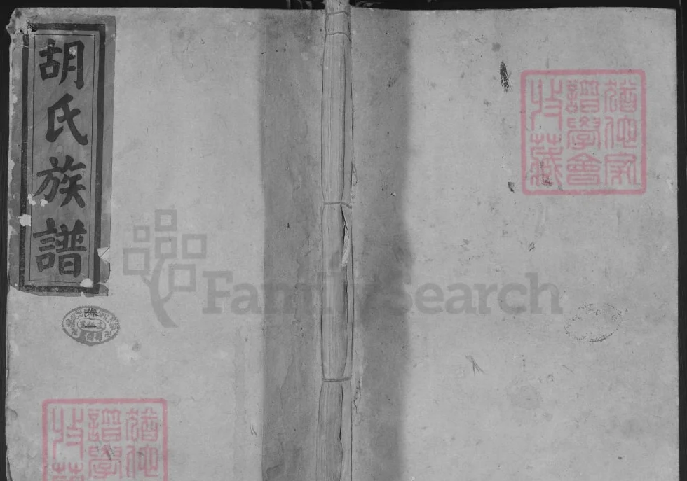湖南邵阳胡氏族谱（苏湖堂）电子版PDF下载-中华家谱网