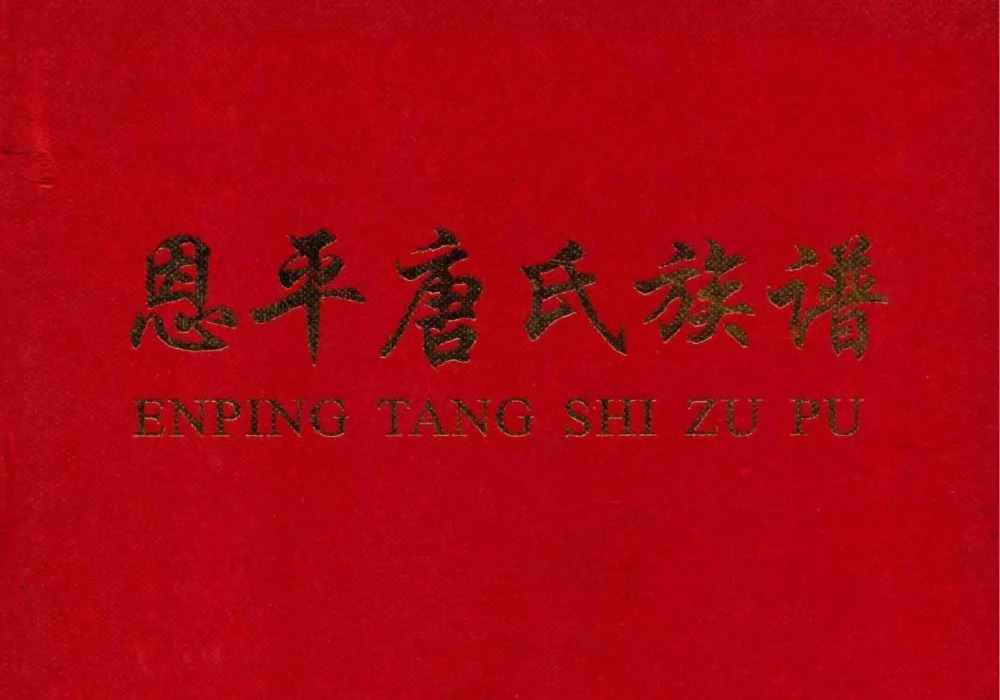 广东恩平唐氏族谱电子版PDF下载-中华家谱网