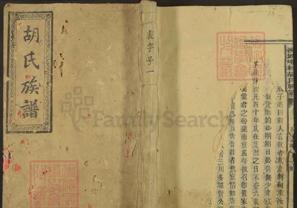 湖南汝城中桂胡氏族谱电子版PDF下载-中华家谱网