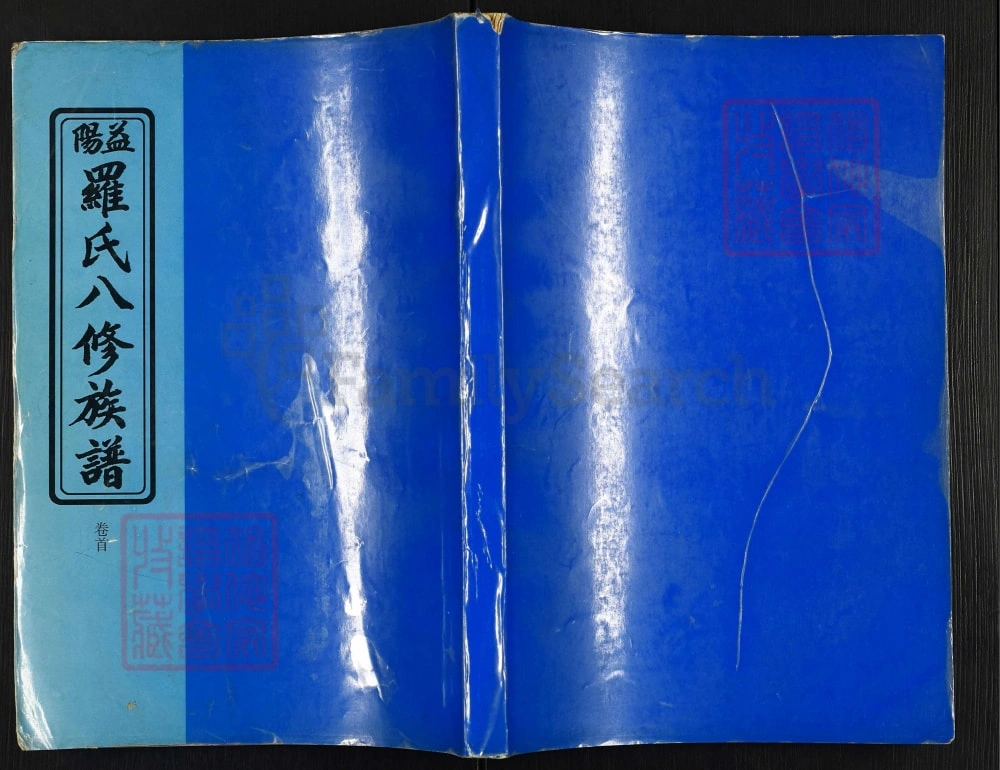 图片[1]-湖南益阳罗氏八修族谱电子版PDF下载-中华家谱网