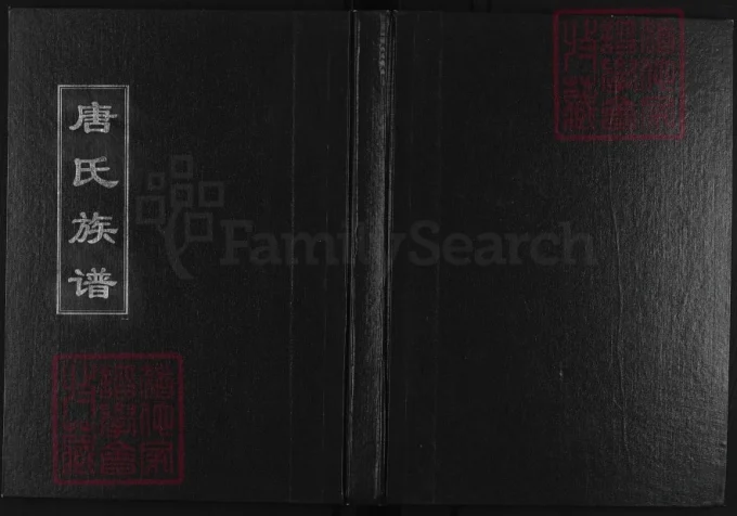 山东淄博唐氏族谱-中华家谱网