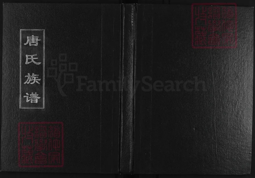 山东淄博唐氏族谱电子版PDF下载-中华家谱网