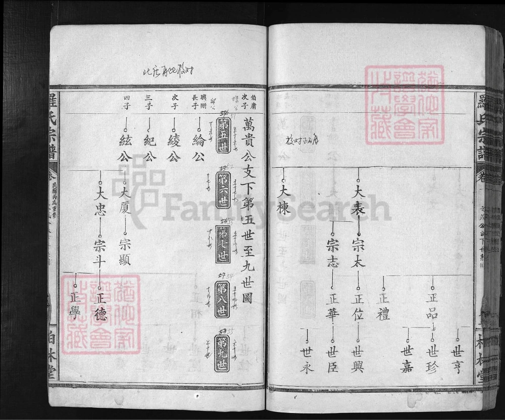 图片[8]-湖北大冶罗氏宗谱文茂公支（柏林堂）电子版PDF下载-中华家谱网