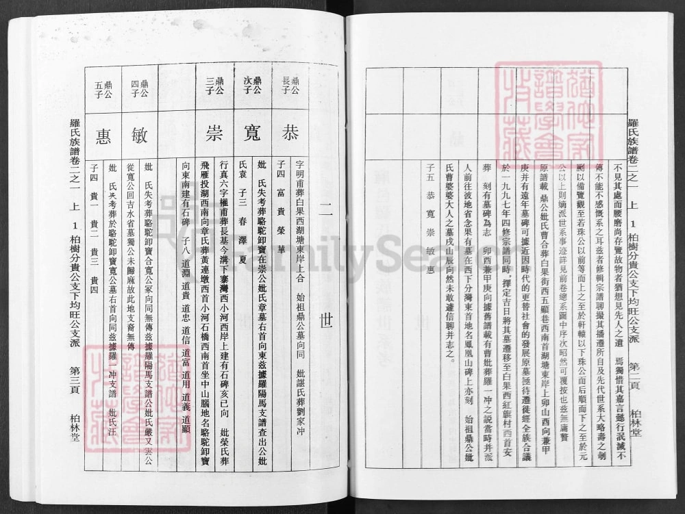 图片[7]-湖北麻城罗氏族谱（柏林堂）电子版PDF下载-中华家谱网