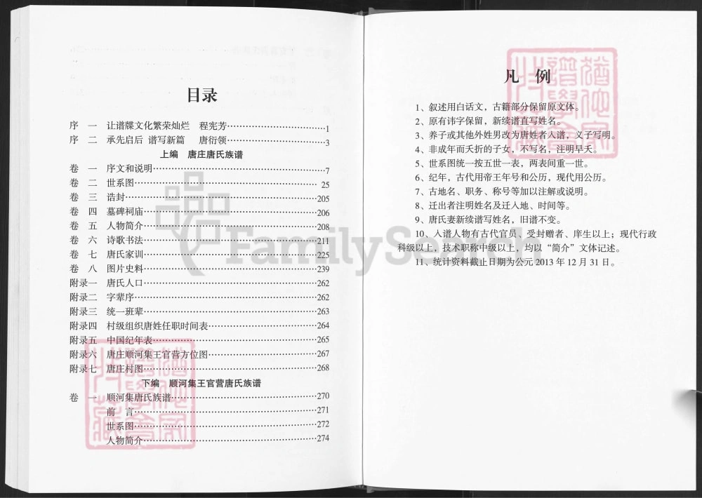 图片[3]-山东菏泽东明唐庄顺河集王官营唐氏族谱电子版PDF下载-中华家谱网