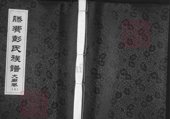 山东滕州滕费彭氏族谱（陇西堂）-中华家谱网
