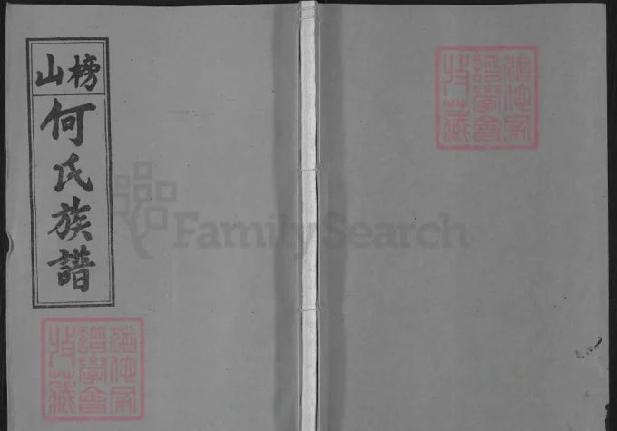 湖南浏阳榜山何氏族谱（九九堂）-中华家谱网