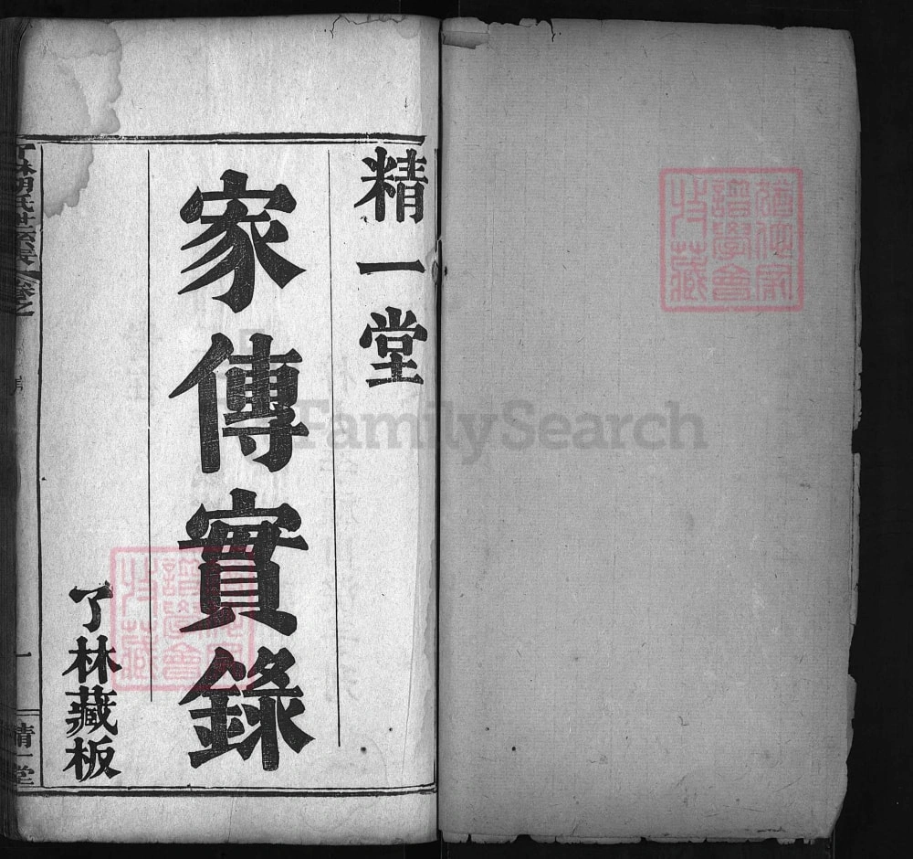 图片[2]-湖北麻城了林胡氏世系表（精一堂）电子版PDF下载-中华家谱网