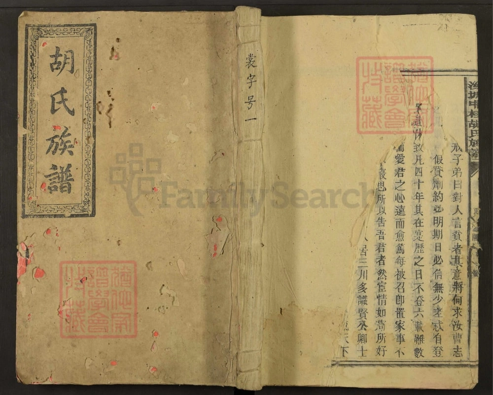 图片[1]-湖南汝城中桂胡氏族谱电子版PDF下载-中华家谱网