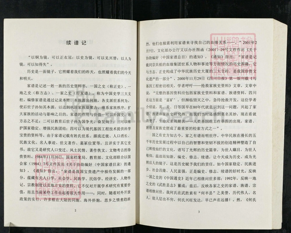 图片[3]-四川广安武胜县龙女郁马坪何氏宗祠何氏族谱电子版PDF下载-中华家谱网