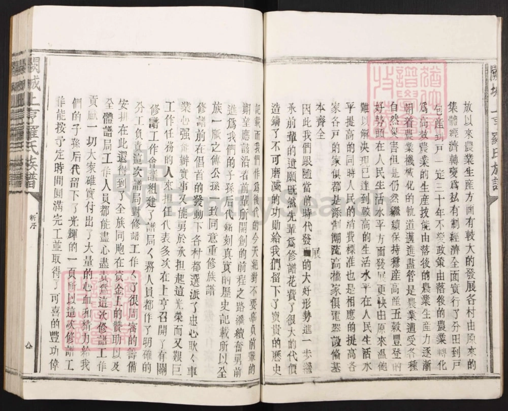 图片[3]-江西吉安泰和县阙城上亨罗氏族谱电子版PDF下载-中华家谱网