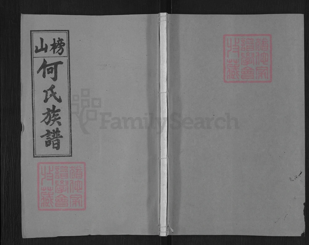 图片[1]-湖南浏阳榜山何氏族谱（九九堂）电子版PDF下载-中华家谱网