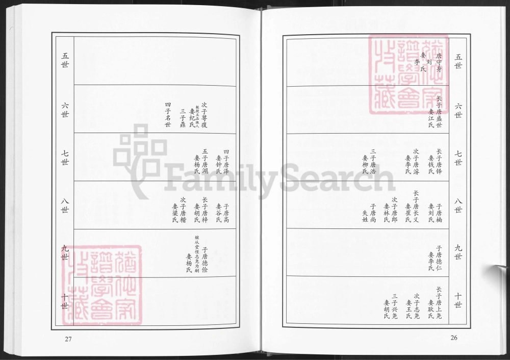 图片[6]-山东菏泽东明唐庄顺河集王官营唐氏族谱电子版PDF下载-中华家谱网
