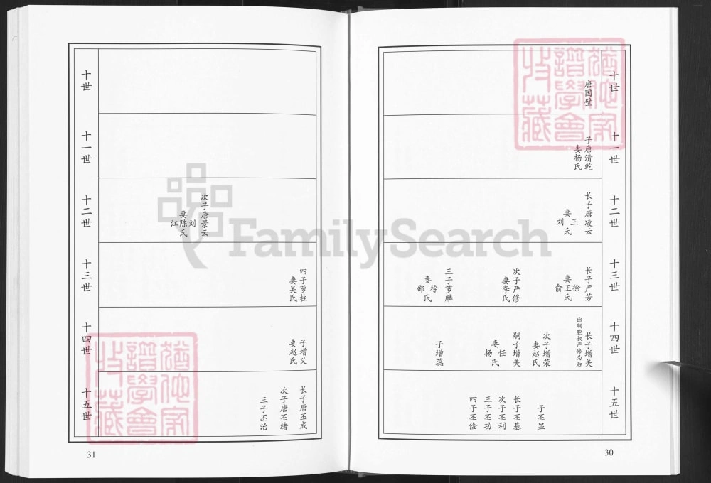 图片[8]-山东菏泽东明唐庄顺河集王官营唐氏族谱电子版PDF下载-中华家谱网