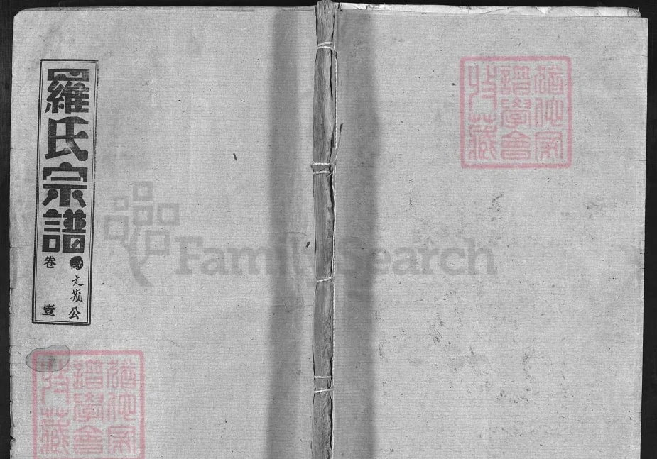 湖北大冶罗氏宗谱文茂公支（柏林堂）电子版PDF下载-中华家谱网