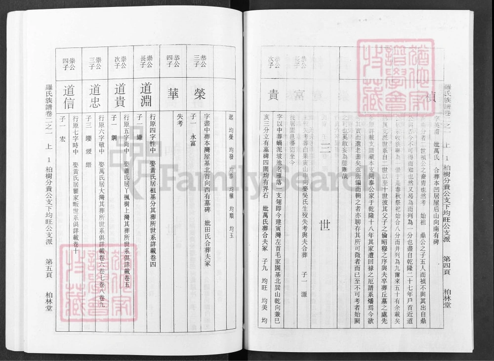 图片[8]-湖北麻城罗氏族谱（柏林堂）电子版PDF下载-中华家谱网