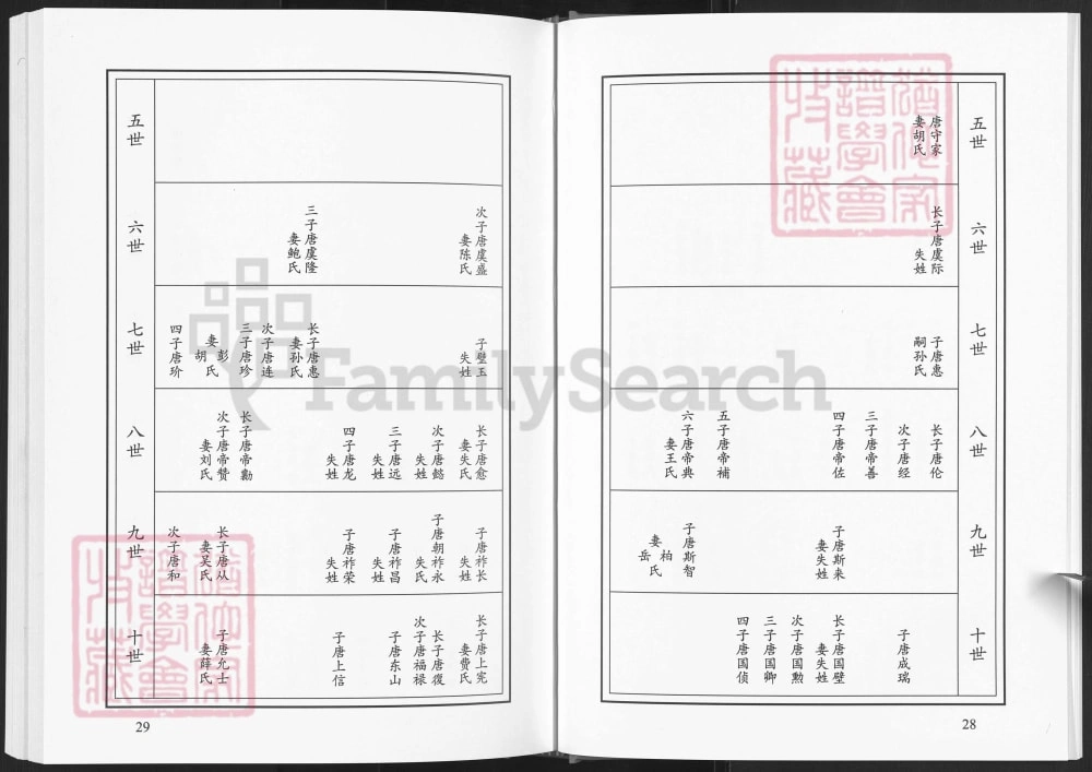 图片[7]-山东菏泽东明唐庄顺河集王官营唐氏族谱电子版PDF下载-中华家谱网