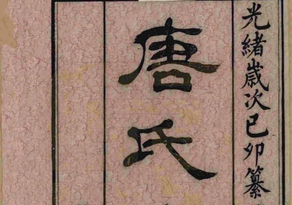 江苏江阴毗陵江邑太平桥唐氏支谱（务本堂）电子版PDF下载-中华家谱网