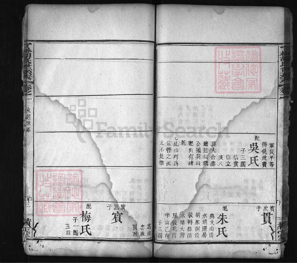 图片[8]-湖北麻城了林胡氏世系表（精一堂）电子版PDF下载-中华家谱网