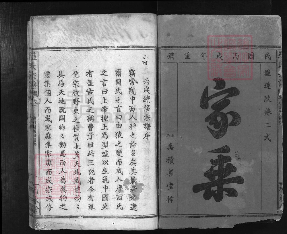 图片[2]-湖北大冶罗氏宗谱文茂公支（柏林堂）电子版PDF下载-中华家谱网