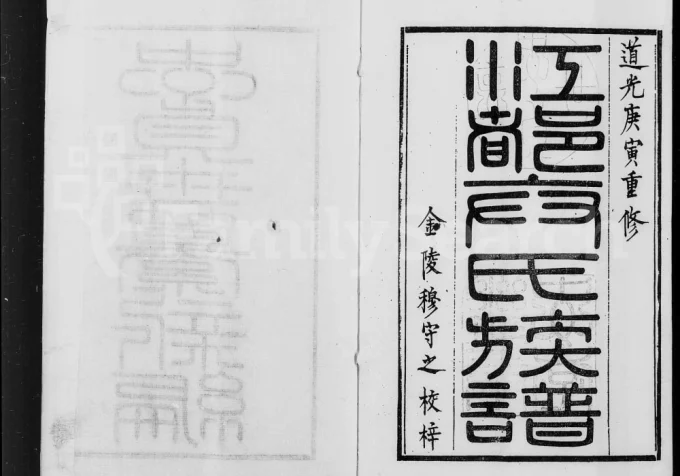 江苏扬州江都卞氏族谱-中华家谱网